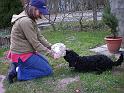 Bild 010